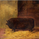Illustration for article titled Look at This Absolute Unit Every Damn Day